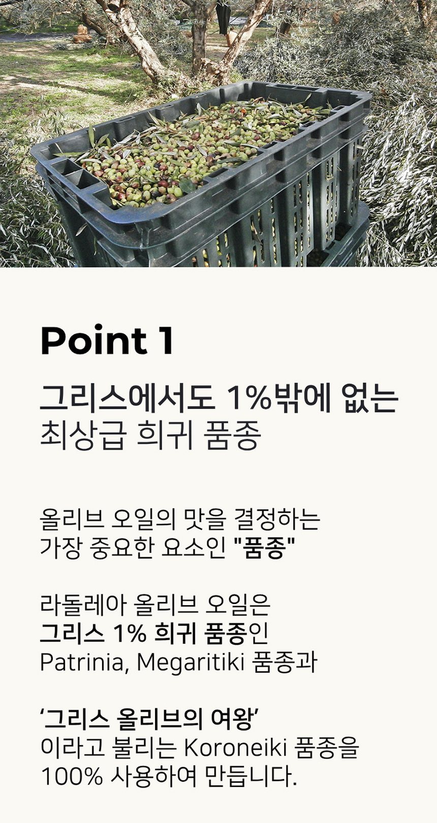 라돌레아 그리스 유기농 엑스트라버진 올리브오일 델리케이트 산뜻한맛 대용량 틴 500ml